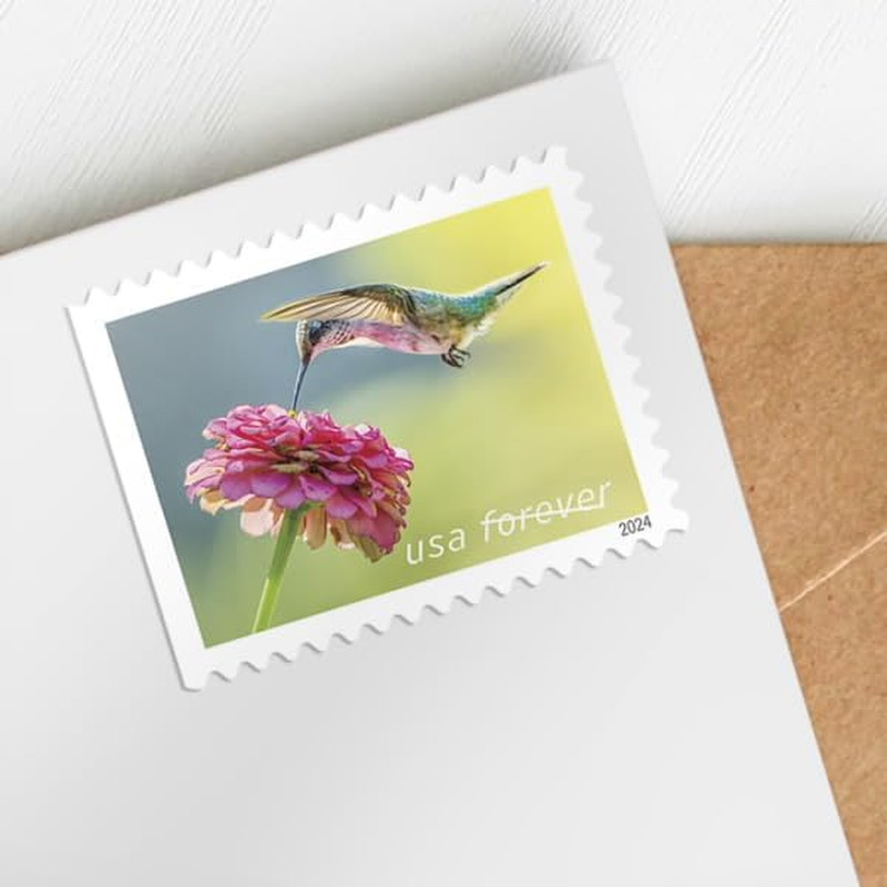 Garden Delights (Booklet of 20) First-Class Mail Forever Postage Stamps 2024 …