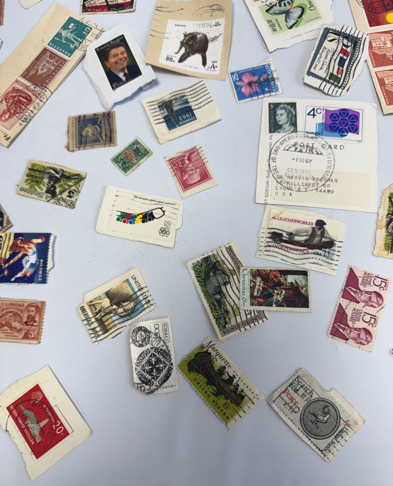 Worldwide Vintage Stamp Collection Lot 75+ Used Stamps on Paper and Off Paper