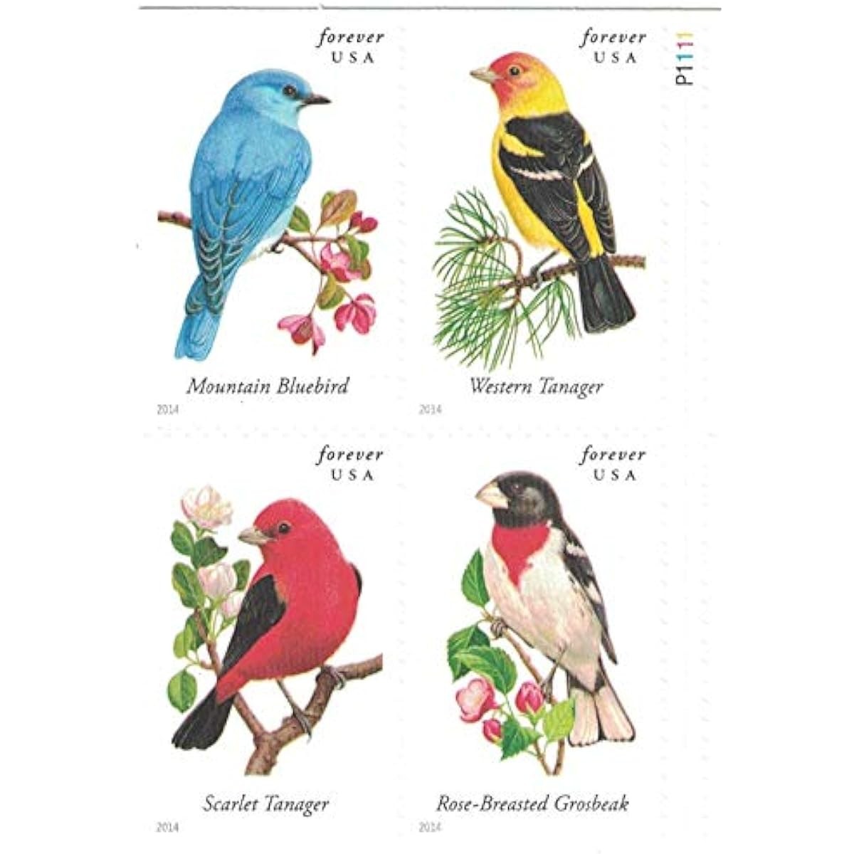 Songbirds Forever Stamps Sc#4891b MNH Full 5 Booklet Pane of 20 Mint ,100 total