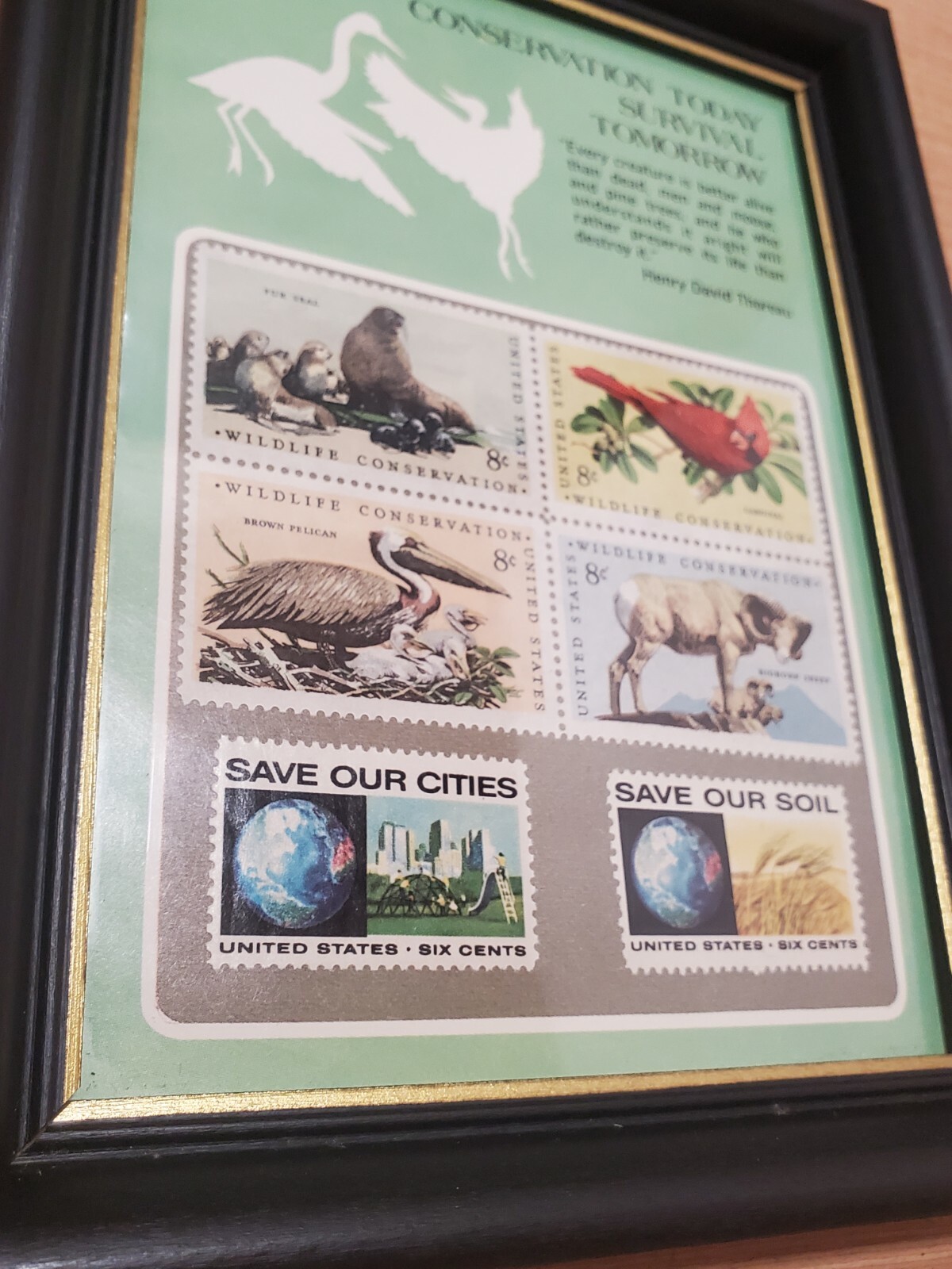 Conservation Stamps in Frame! sSx/Eight Cent Stamp Wildlife — Henry Thoreau