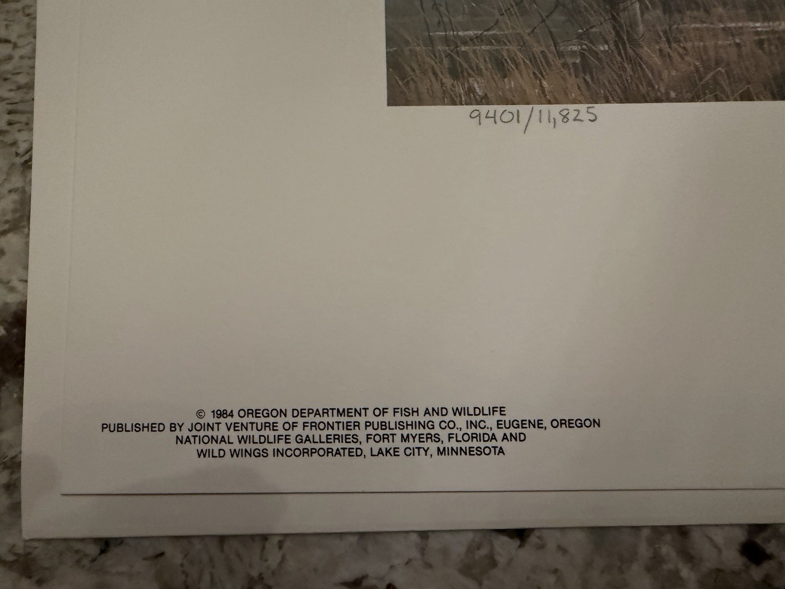 1984 Organ Waterfowl Stamp Print
