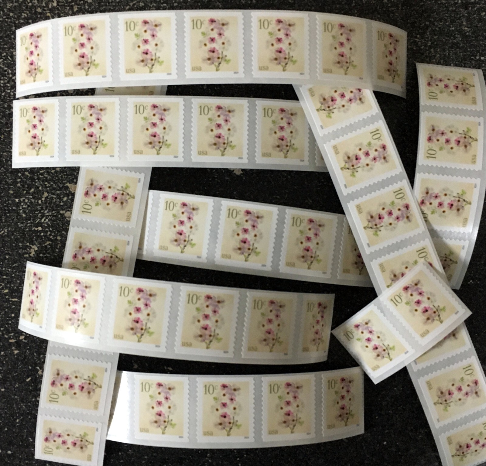 2024USA #5906 10c Poppies & Coneflowers Coil Various Length Strips (50) flower