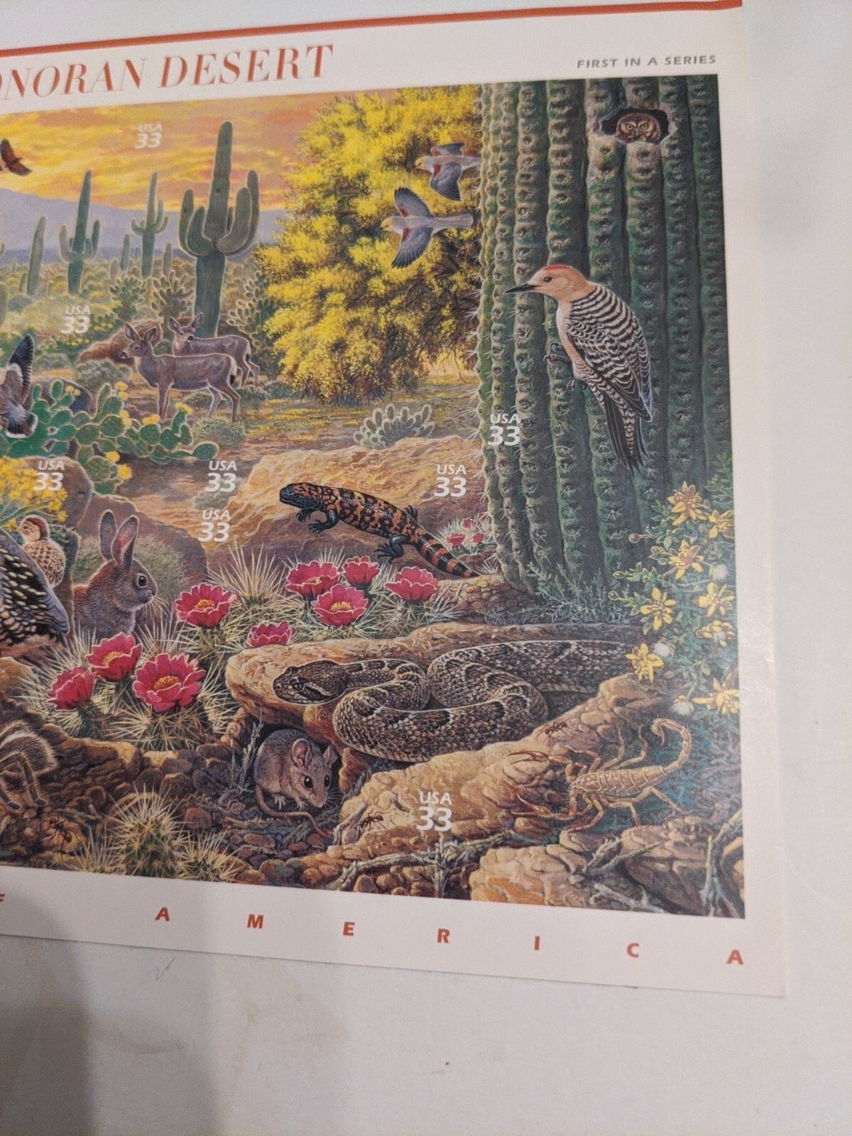 US SCOTT 3293 PANE OF 10 SONORAN DESERT 33 CENT FACE MNH 1ST IN SERIES