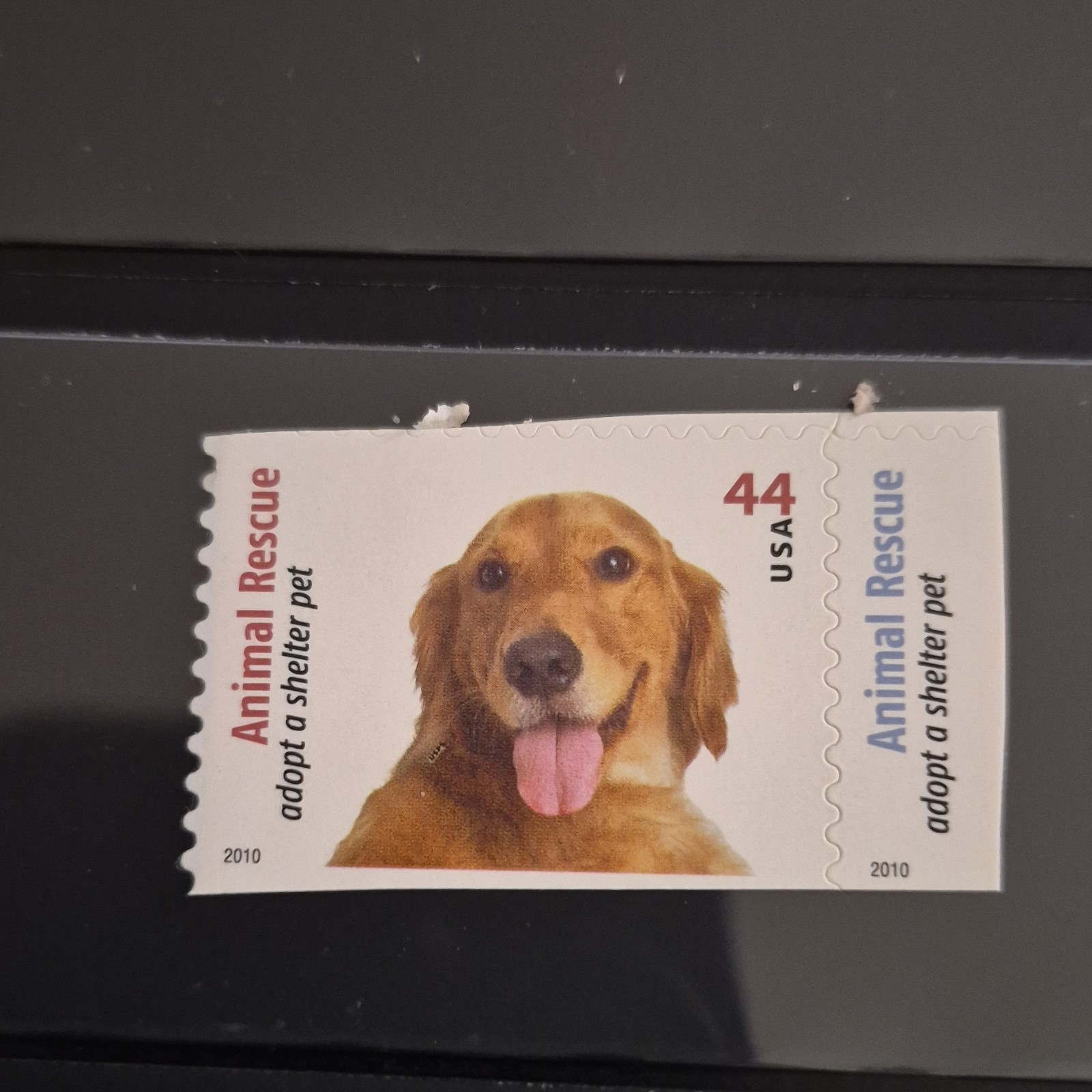 Animal Rescue 44 Cent USA Postage Stamp Adopt a Shelter Pet Pair Brown White
