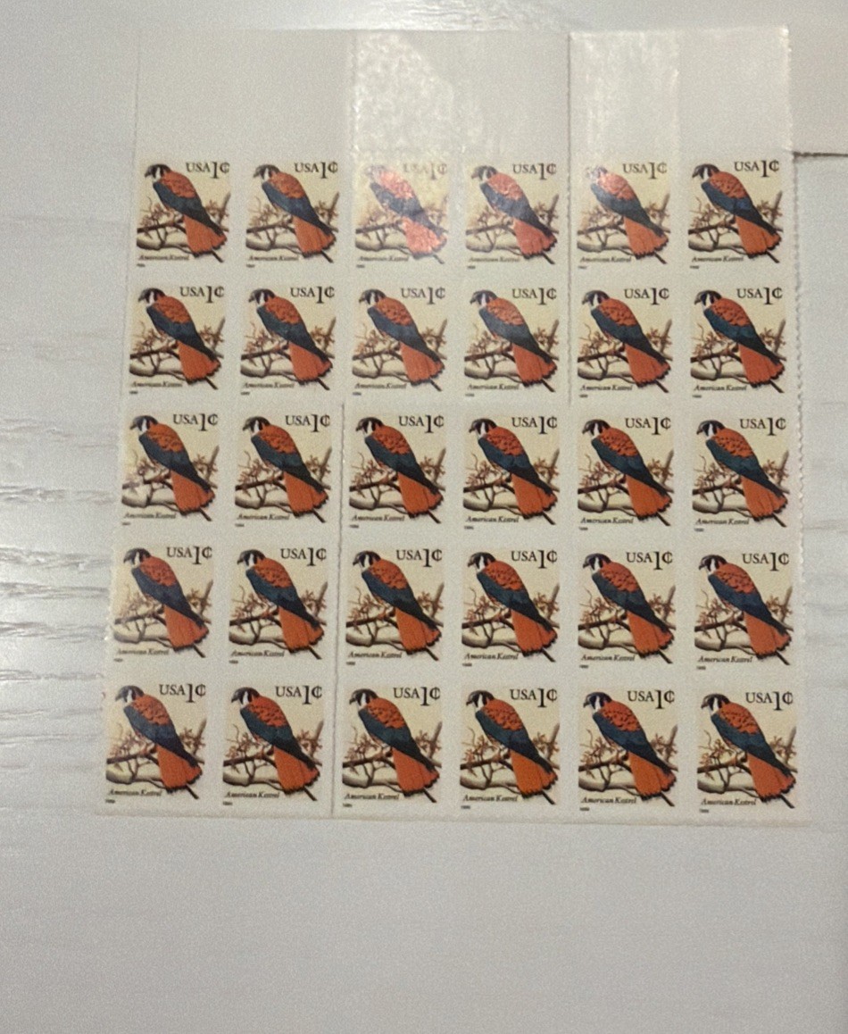 30 USA Stamps .. Kestrel Bird Block Water Activated/Self-adhesive Rare