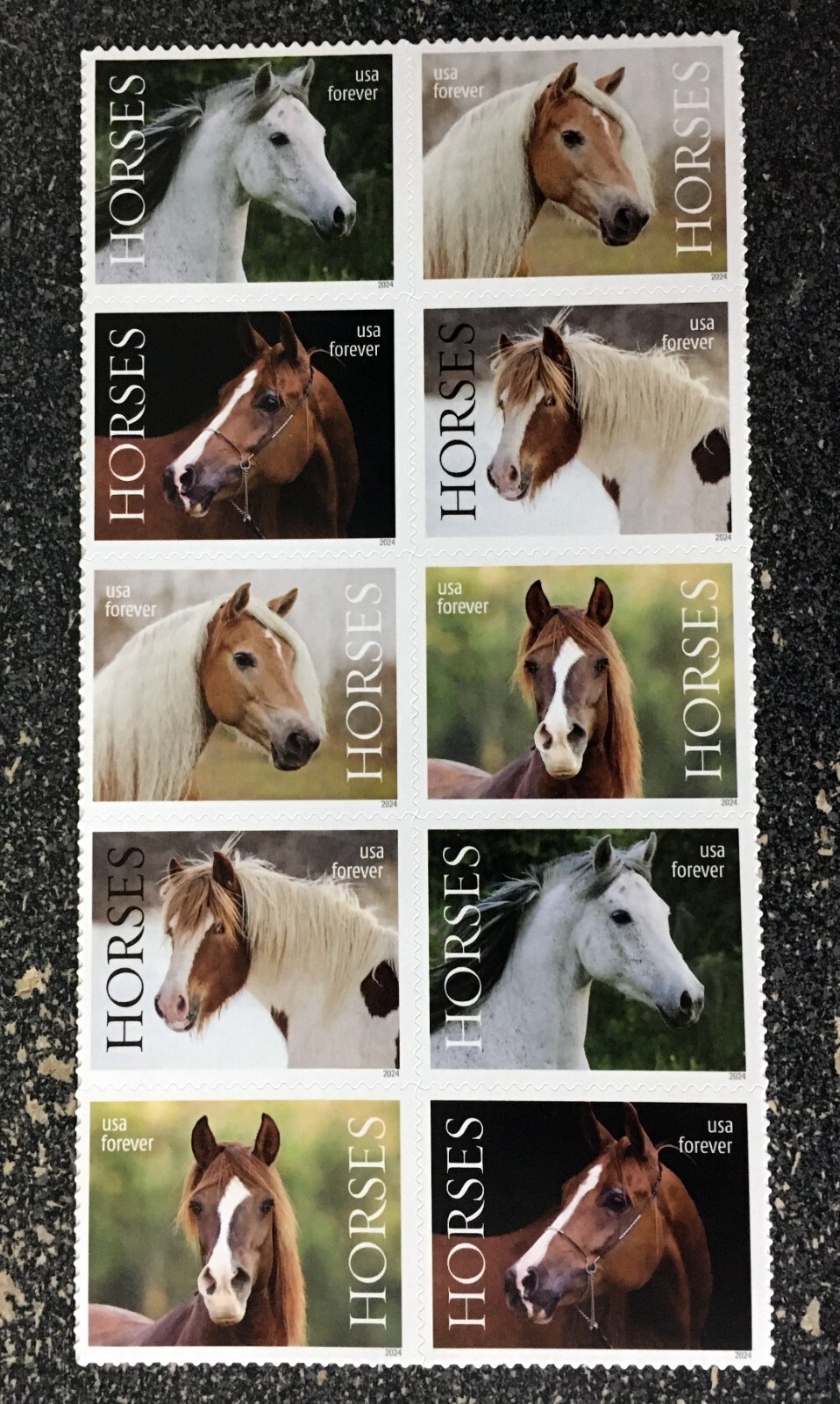 2024USA Forever Horses – Block of 10 From Sheet mint postage