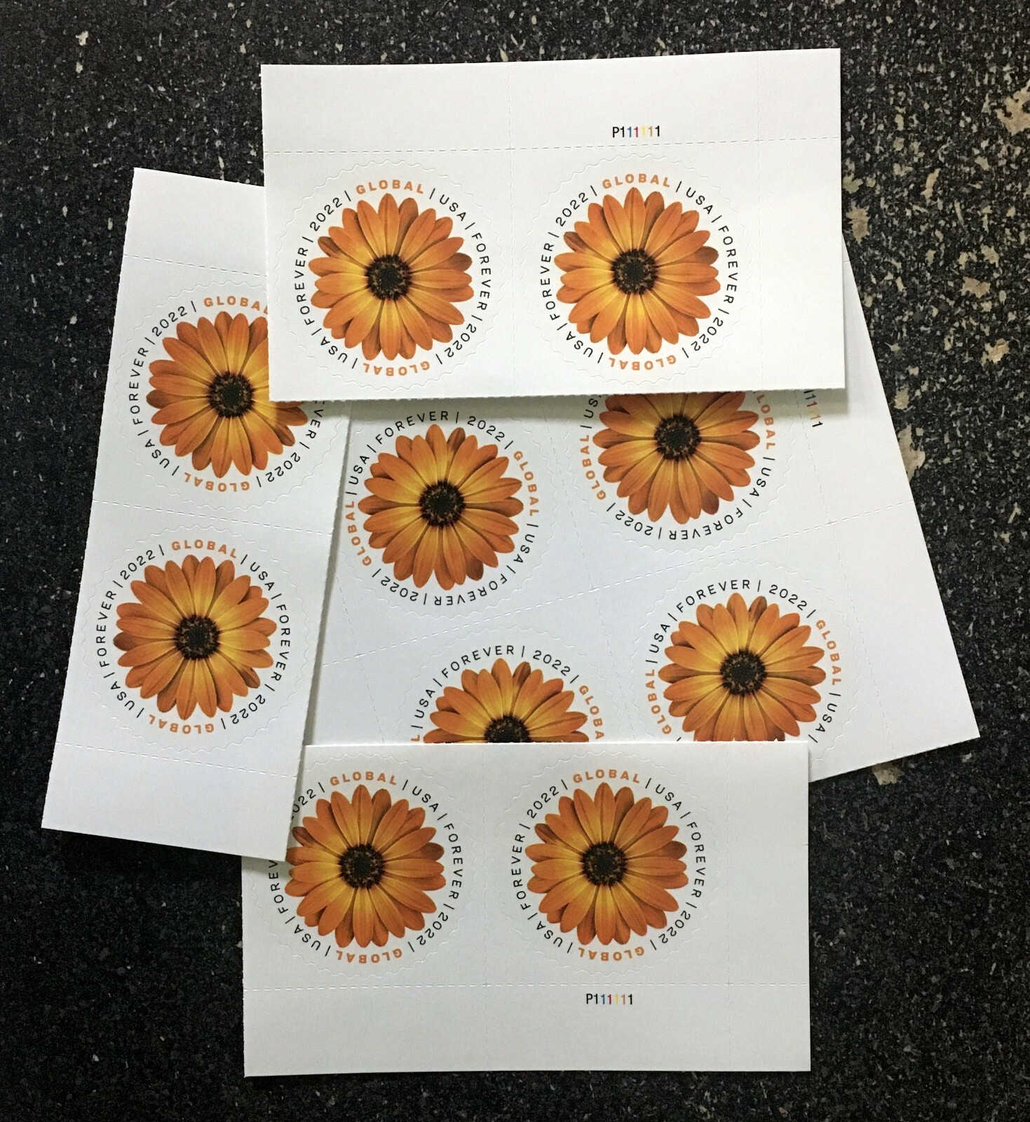 2022USA #5680 (10)Global Forever Rate – African Daisy international sase Mint