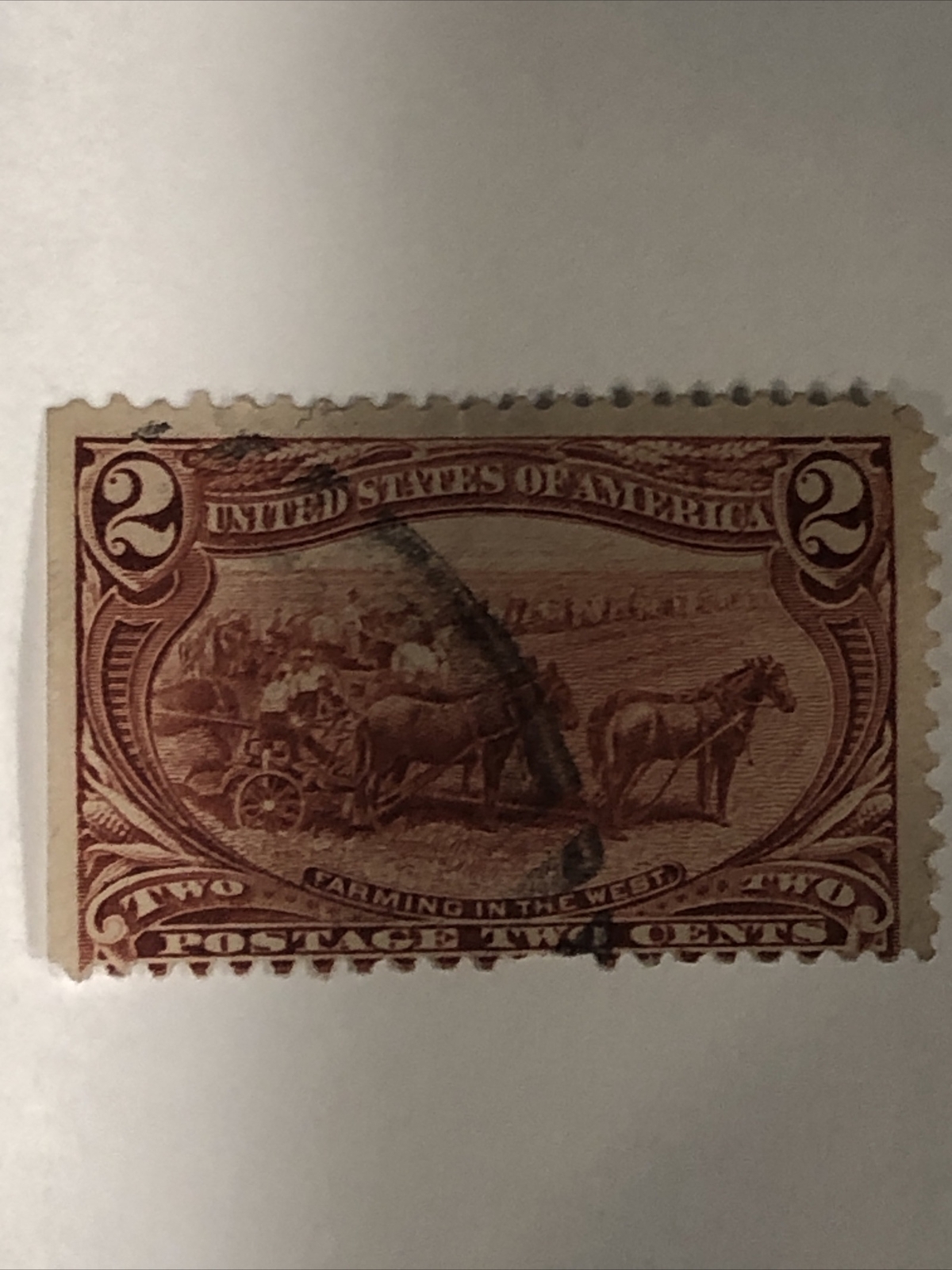 Scott # 286 1898 The Trans-Mississippi Issue U.S. Postage Stamp