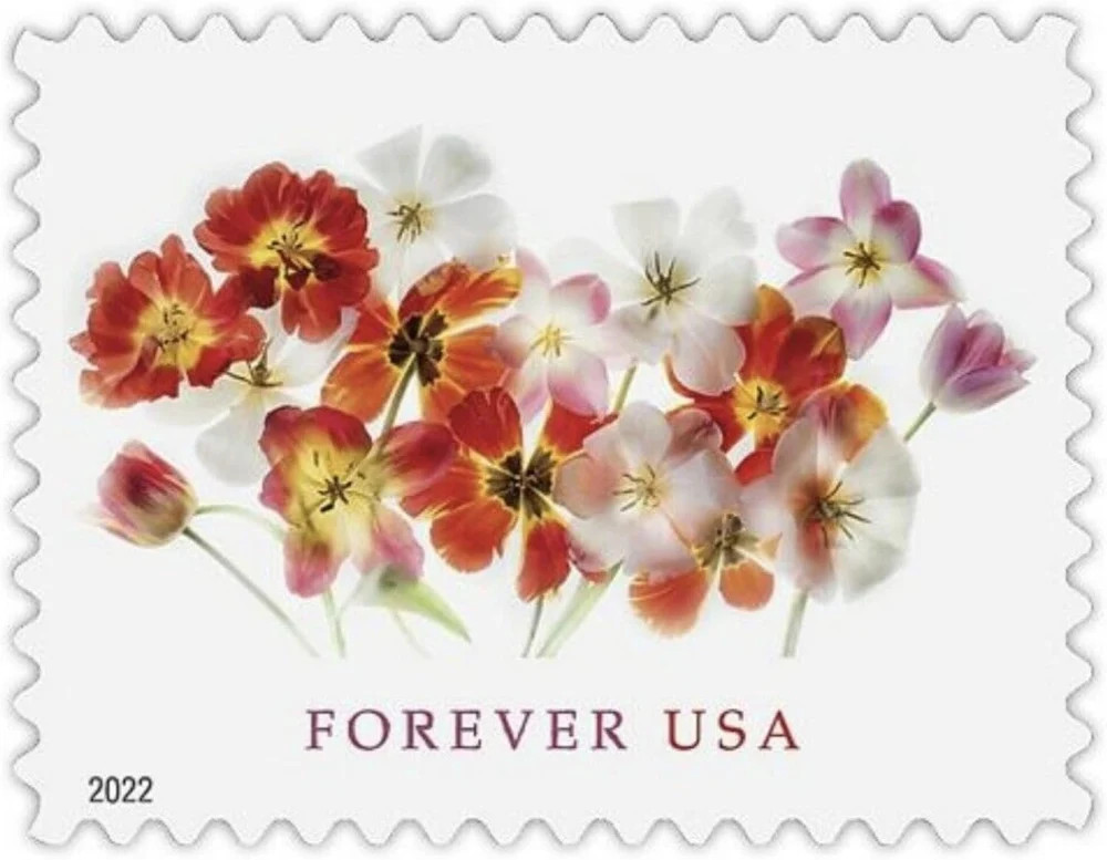 Tulips 2022 USPS First-Class Mail Forever Postage Stamps – Sheet of 20