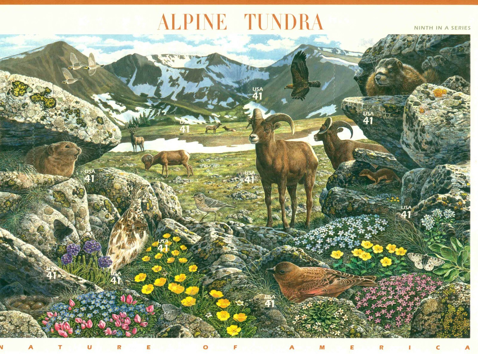 2006 Alpine Tundra Stamps Sheet Of 10 41c Stamps MNH