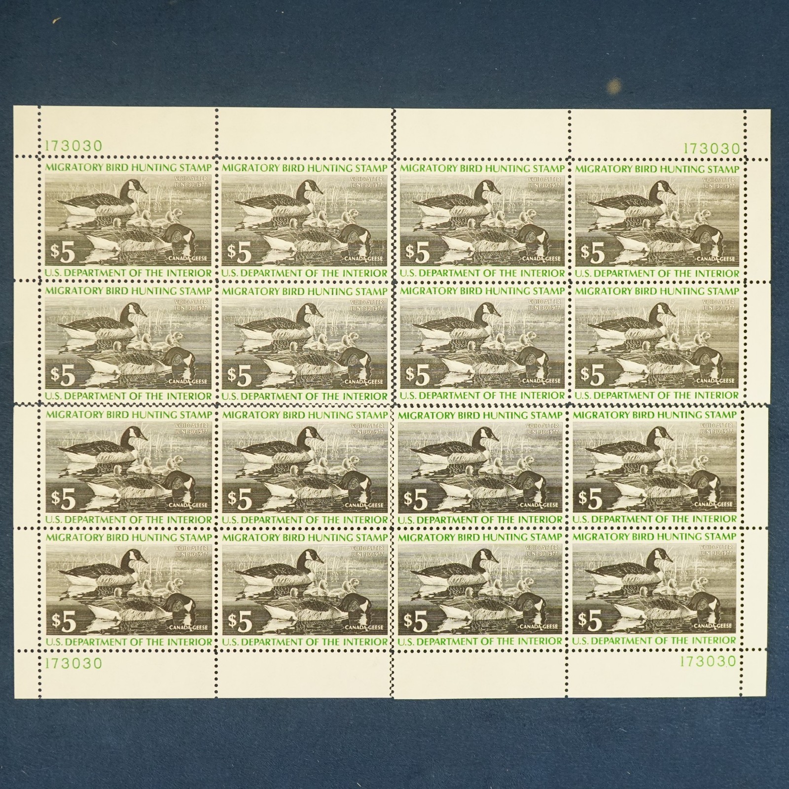 1976 U.S. $5 Federal Duck Stamp 4x Mint Plate Block of 4, MNH, Canada Geese RW43