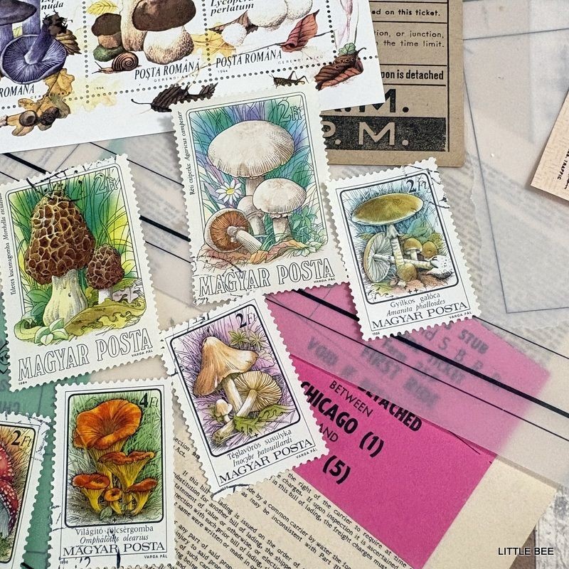 719・R-2085 1994 Romania Mushroom Stamp Sheet + Hungary Mushroom 9 stamps Stamp
