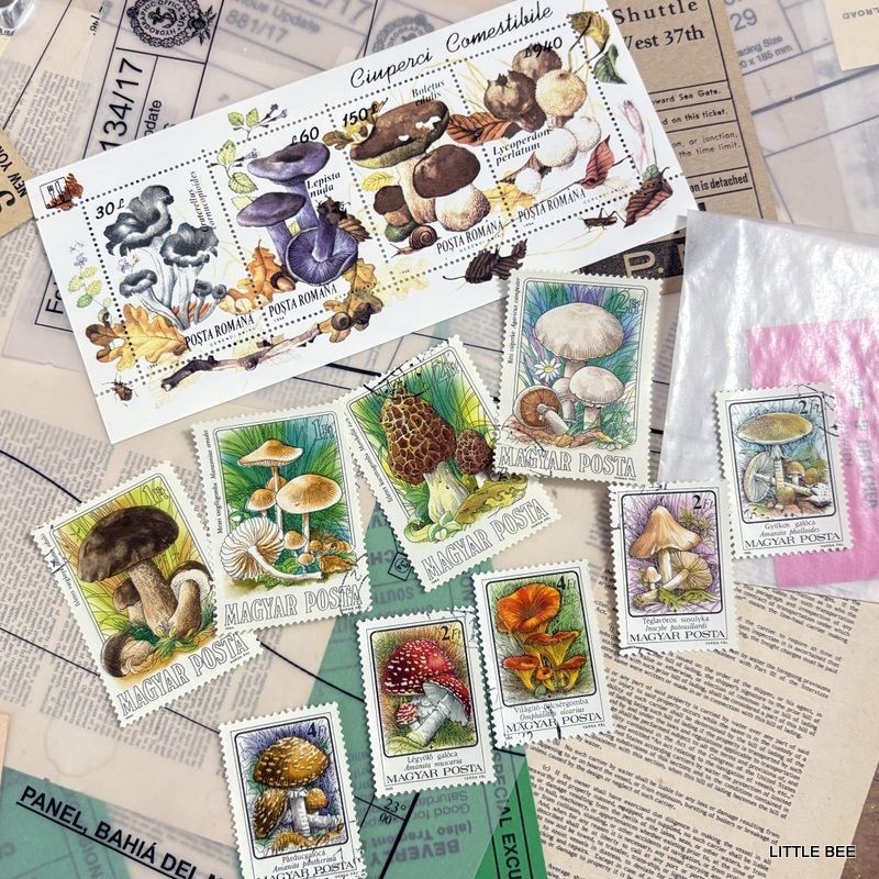 719・R-2085 1994 Romania Mushroom Stamp Sheet + Hungary Mushroom 9 stamps Stamp