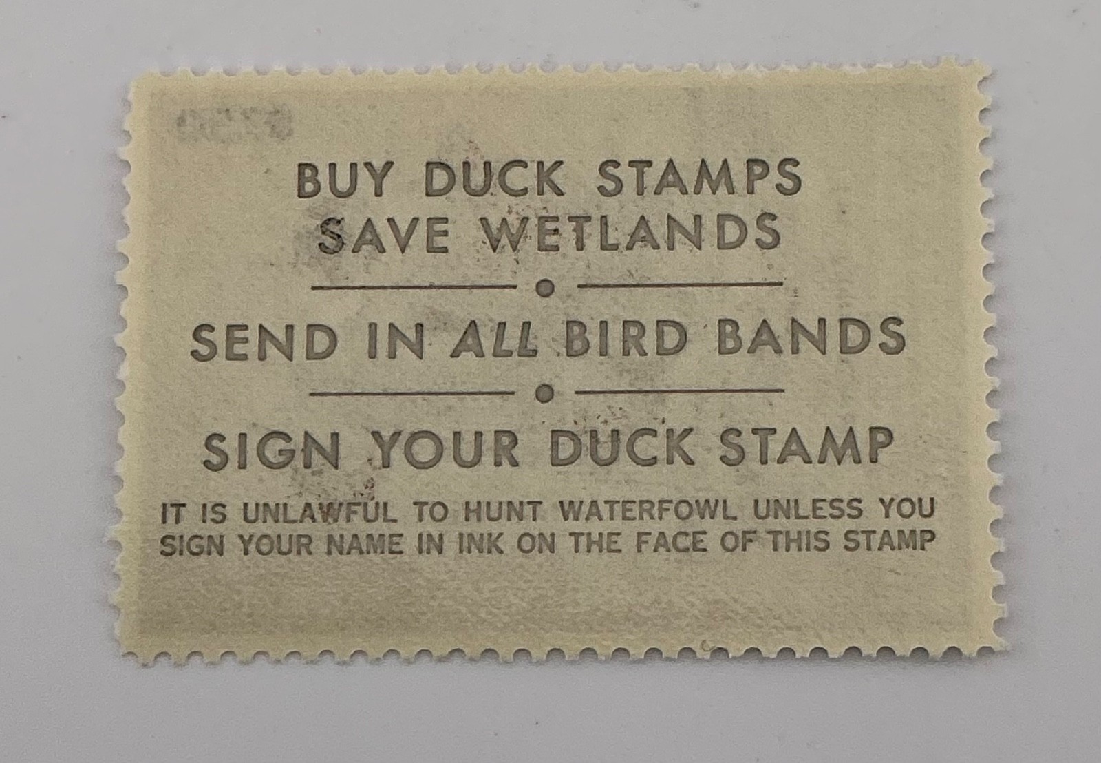 1983 US Federal Scott #RW50 Pintails MNH