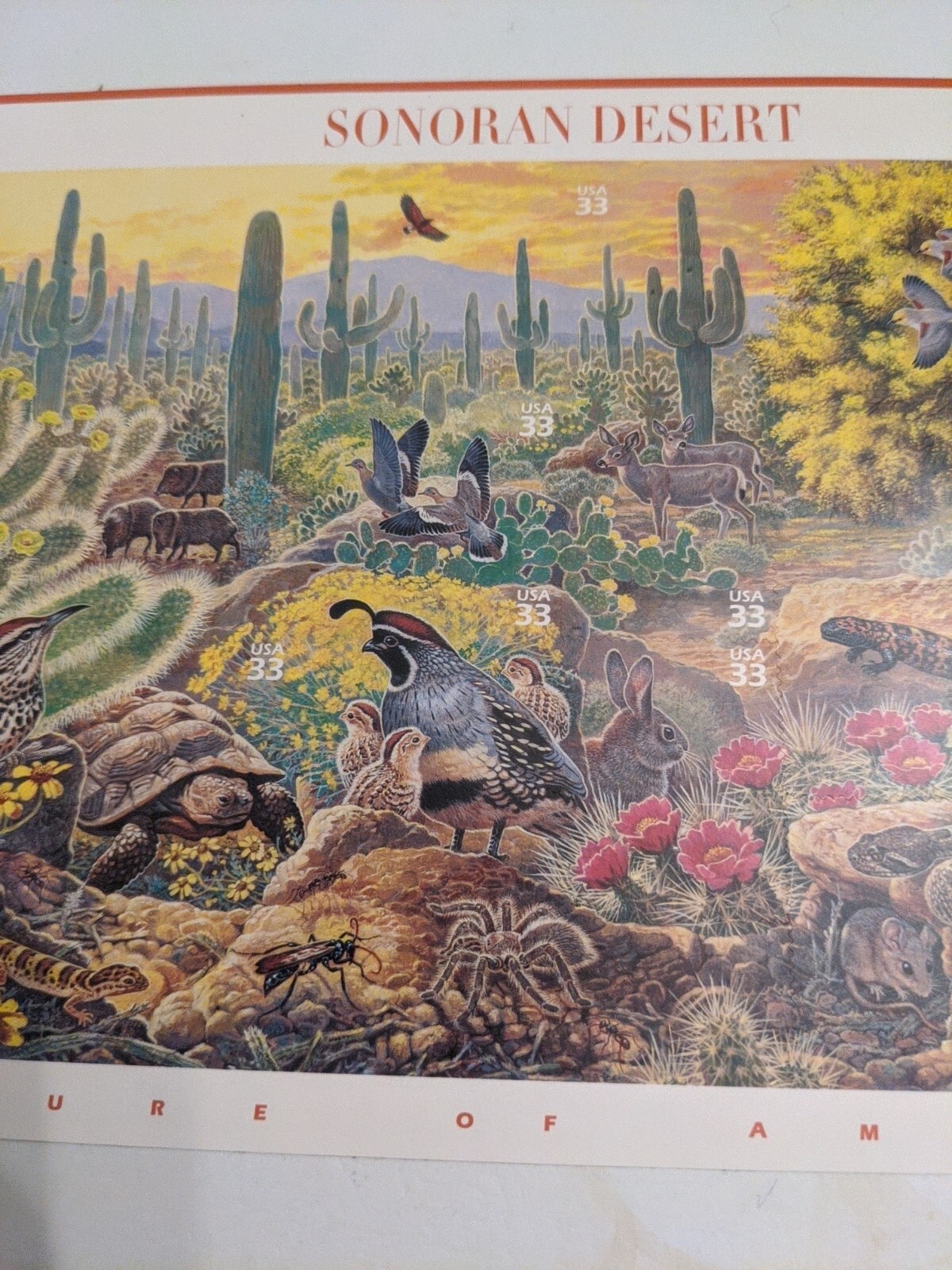 US SCOTT 3293 PANE OF 10 SONORAN DESERT 33 CENT FACE MNH 1ST IN SERIES