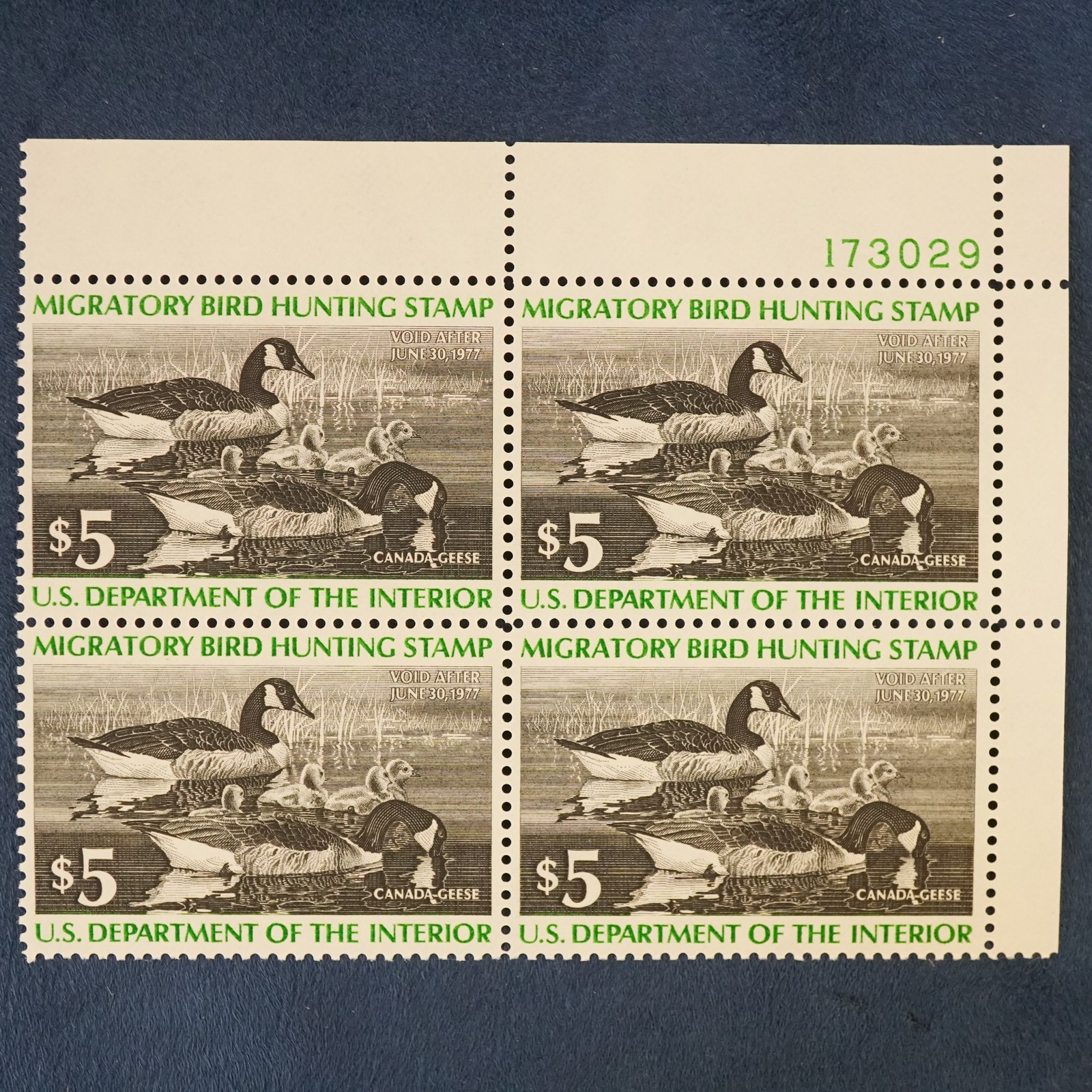 1976 U.S. $5 Federal Duck Stamp 10 Mint Plate Blocks of 4 MNH, Canada Geese RW43