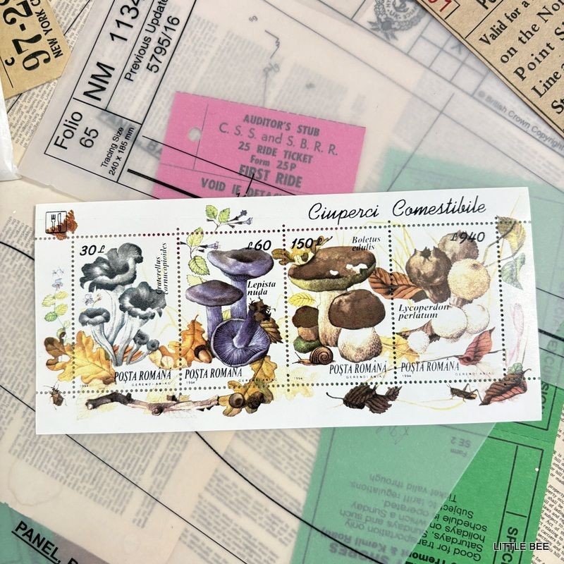719・R-2085 1994 Romania Mushroom Stamp Sheet + Hungary Mushroom 9 stamps Stamp