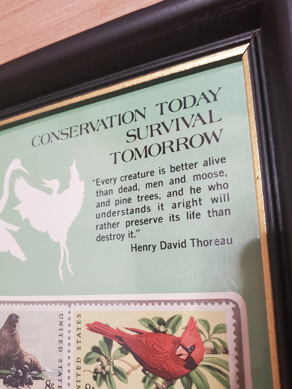 Conservation Stamps in Frame! sSx/Eight Cent Stamp Wildlife — Henry Thoreau