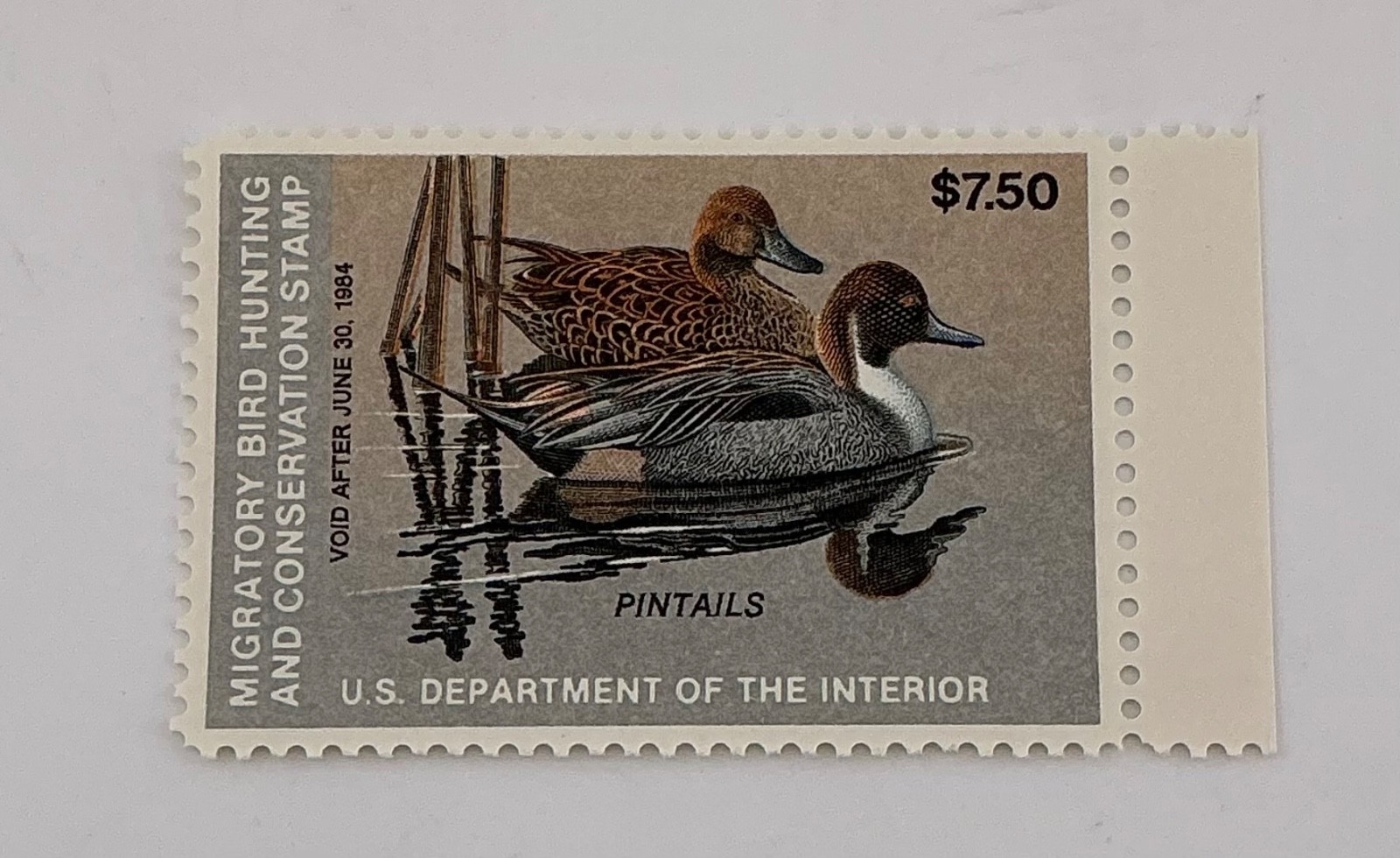1983 US Federal Scott #RW50 Pintails MNH