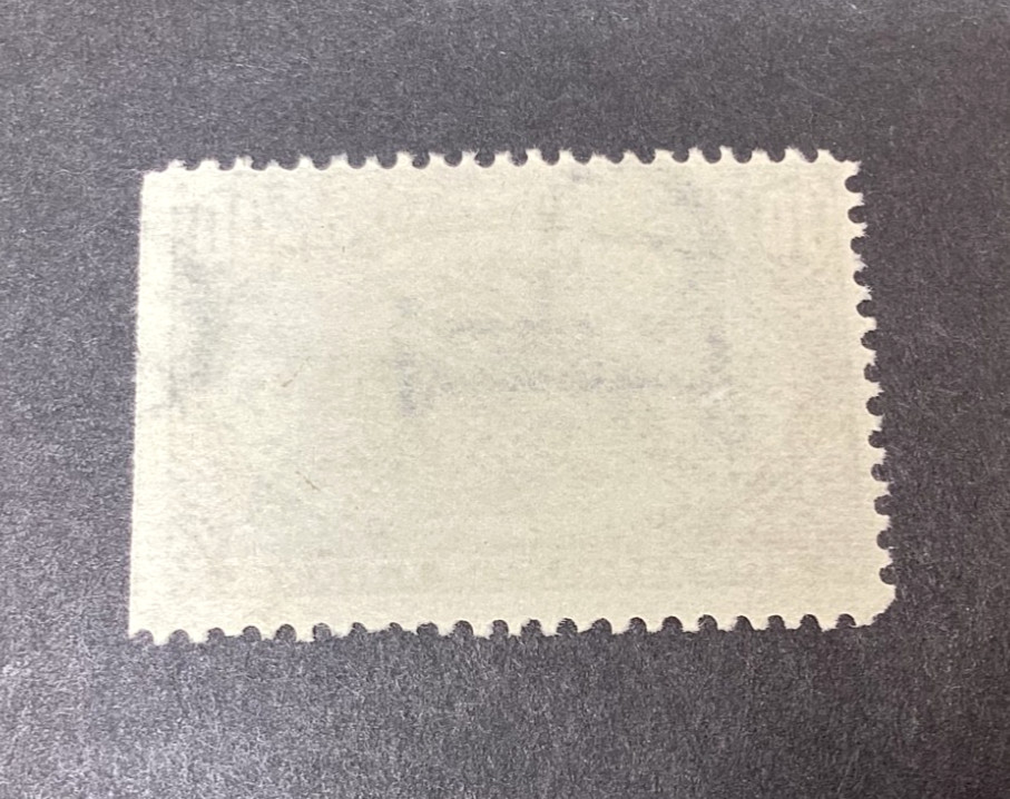 U.S. 1898 Postage Stamp #290 Hardships Of Emigration 10c Mint NH OG – READ