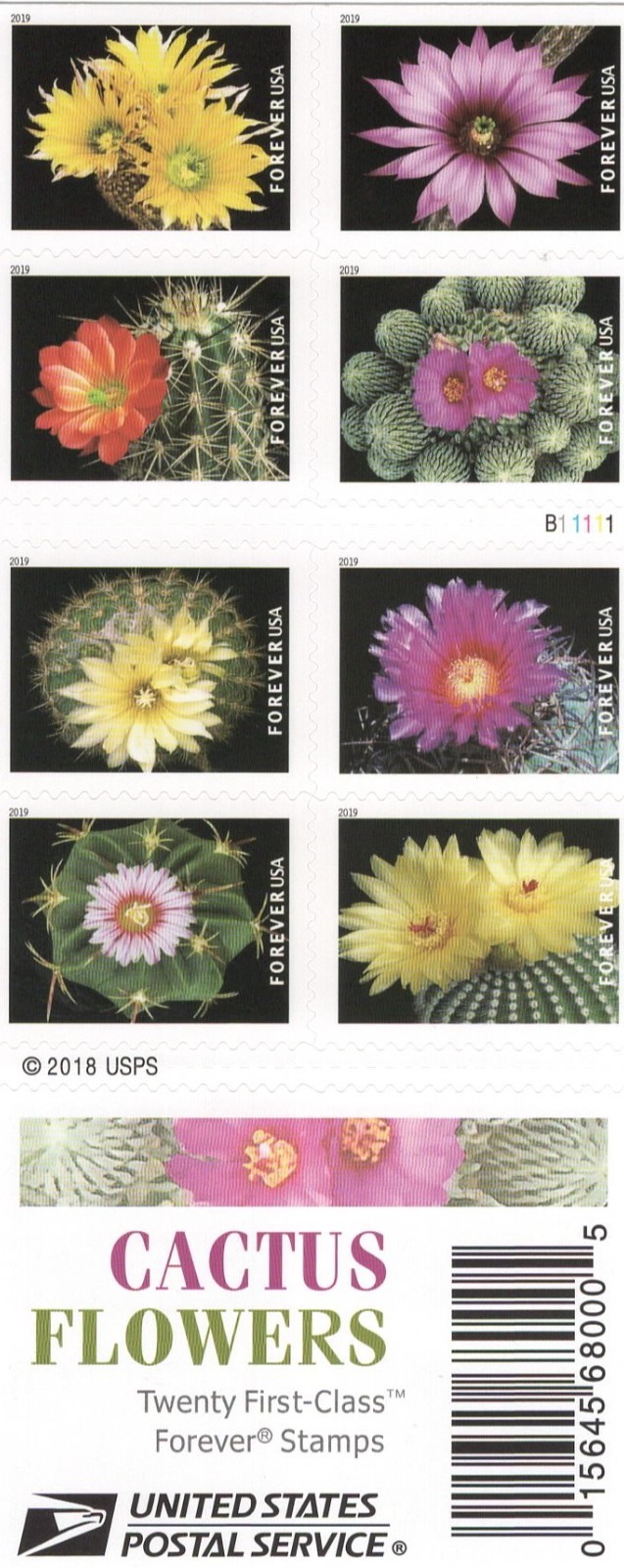 USPS CACTUS FLOWER-20 one ounce rate STAMPS Sent from Oklahoma City