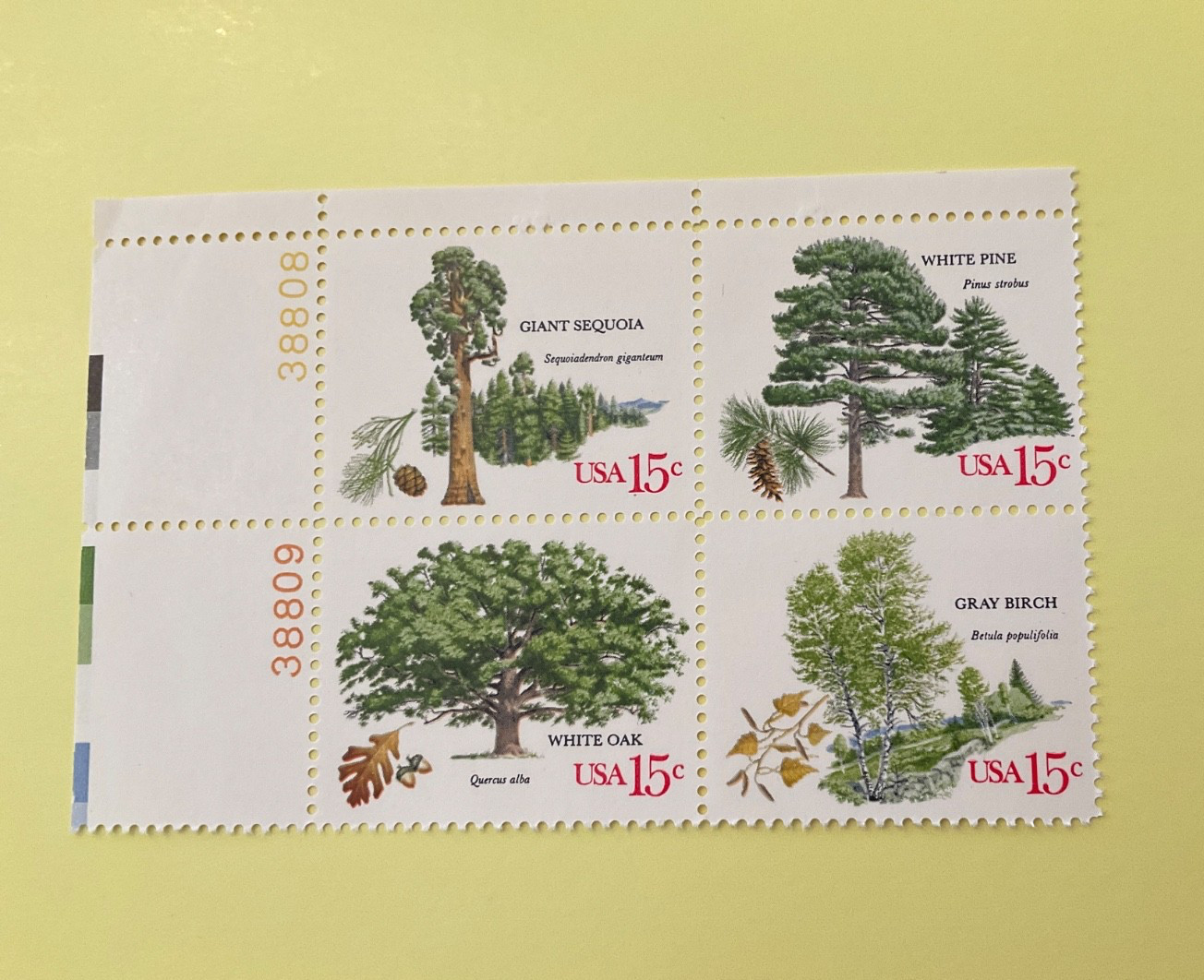 American Trees