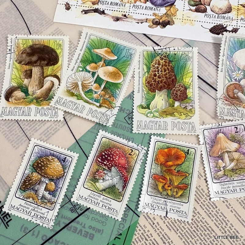 719・R-2085 1994 Romania Mushroom Stamp Sheet + Hungary Mushroom 9 stamps Stamp