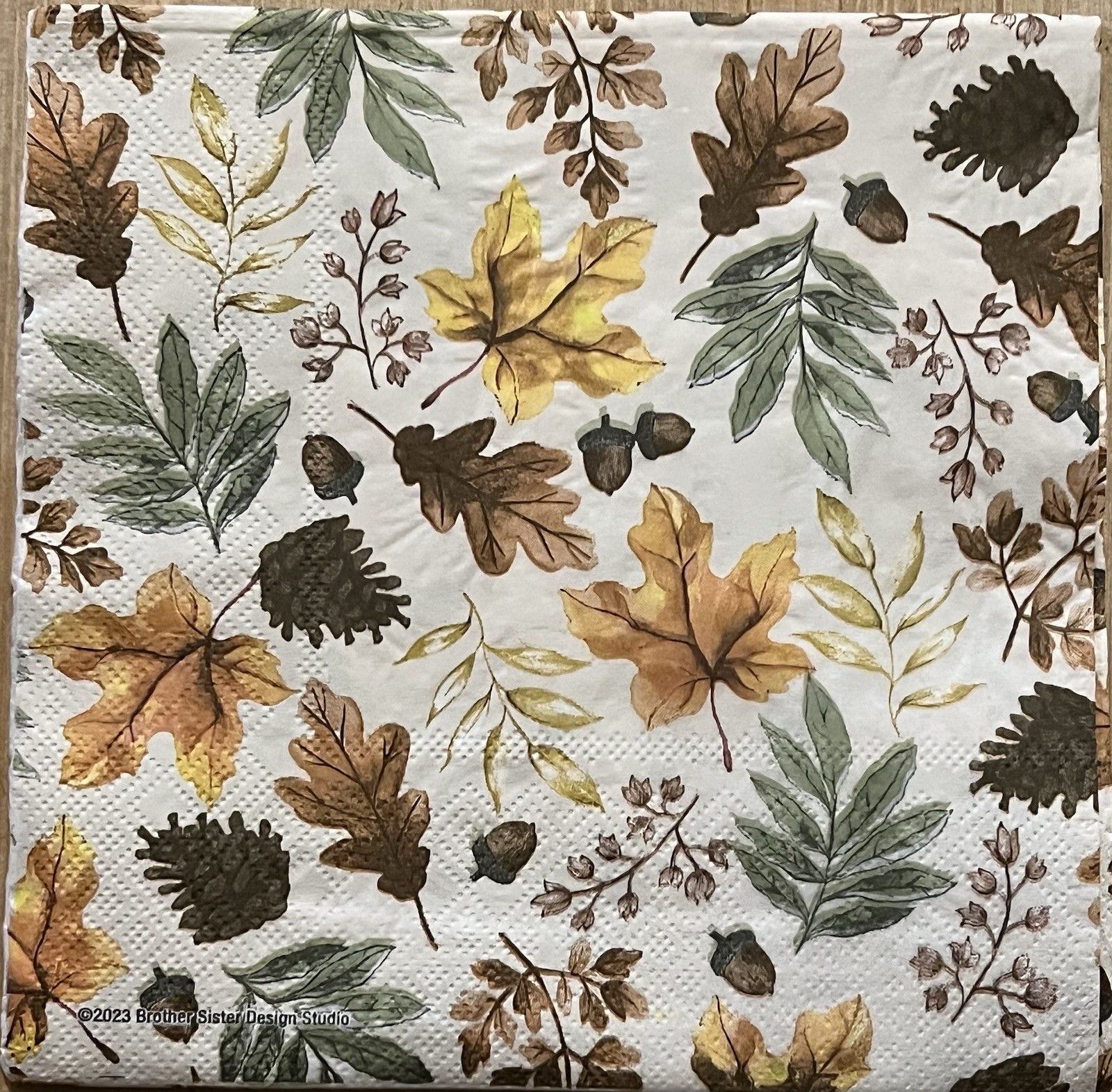 TWO Paper LUNCHEON Decoupage Art Craft Napkins -falling Leaves/pine Cones Autumn