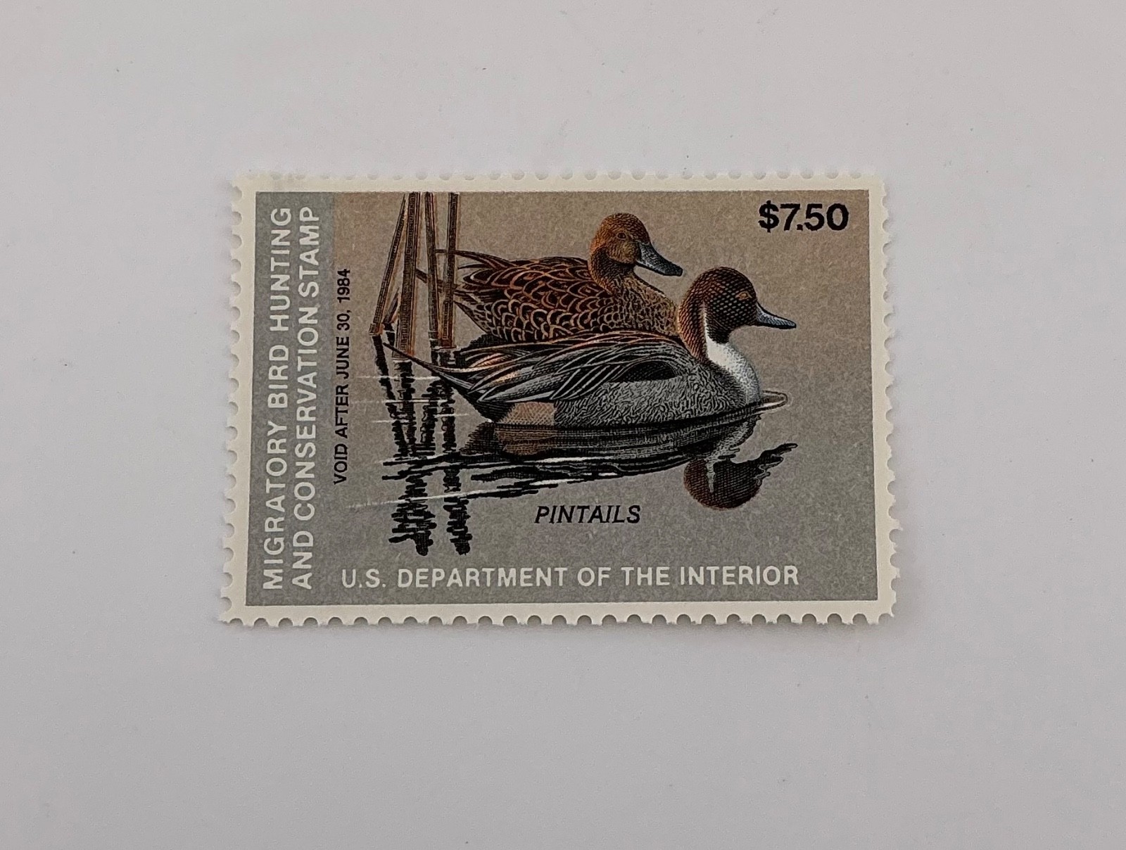1983 US Federal Scott #RW50 Pintails MNH