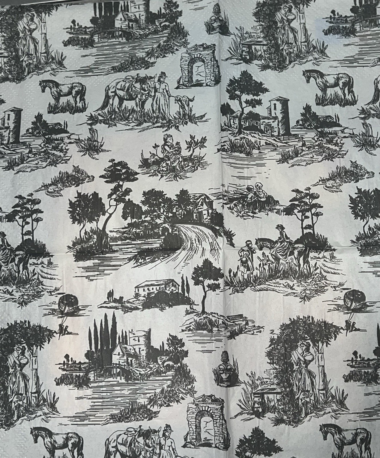 Two Individual paper Luncheon Decoupage Napkin Black Toile French Countryside