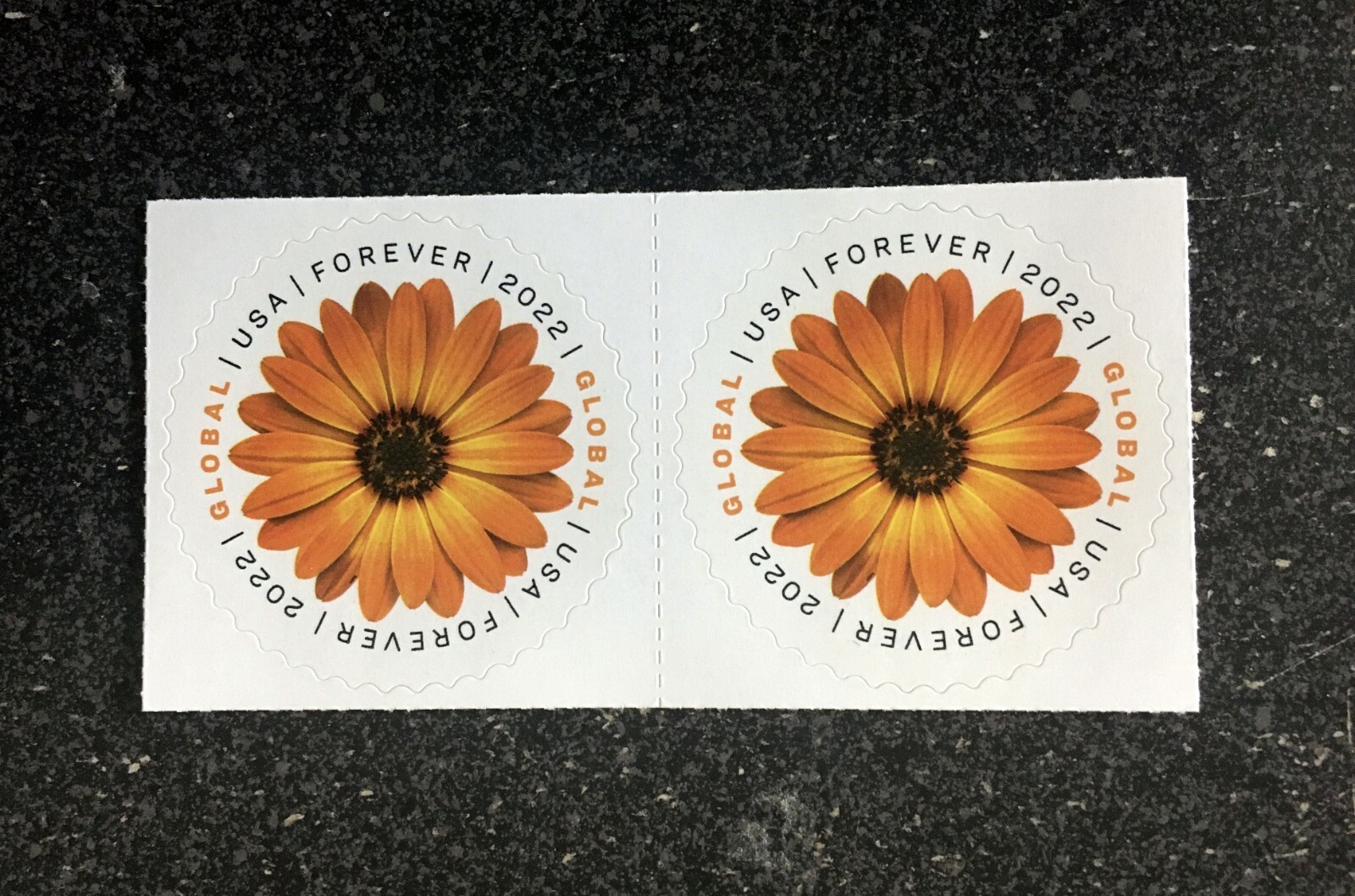 2022USA #5680 Global Forever Rate – African Daisy – Block of 2 Mint sase postage
