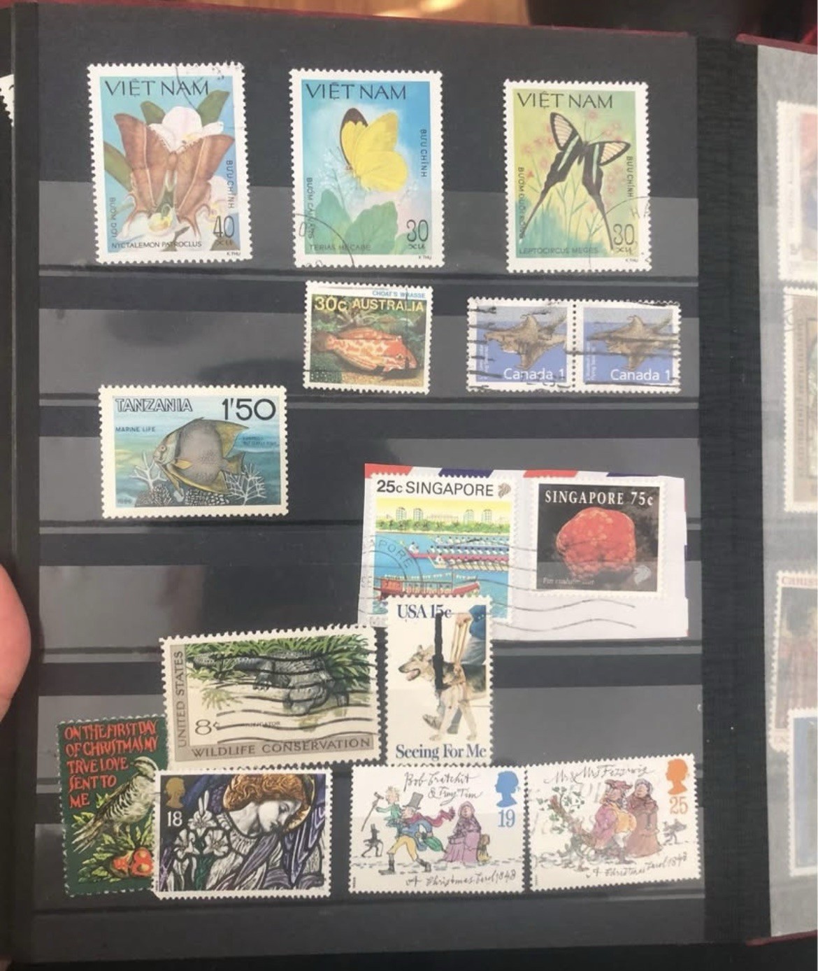 stamp