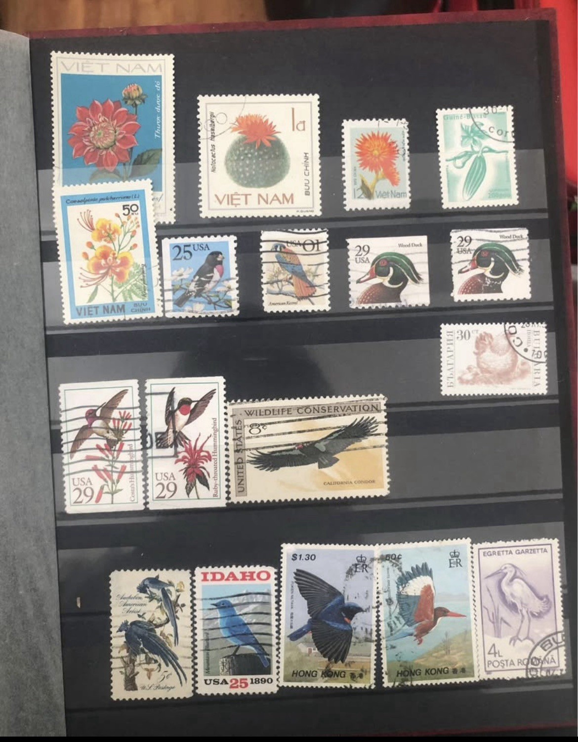 stamp