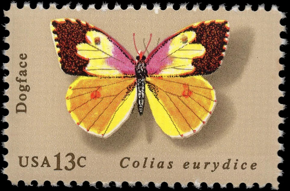 USA 1977 – BUTTERFLY, 13 Cent Stamp, Dogface Butterfly – MNH Stamp – Sc. #1714