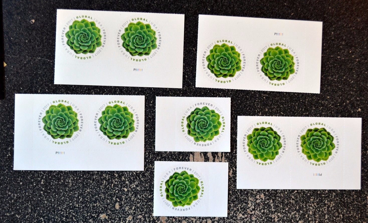 2017USA #5198 (10)Global Forever Rate – Green Succulent international sase Mint