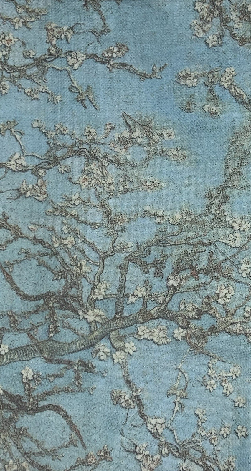 Three Paper Dinner Decoupage Art Craft Napkins Blue Flower Floral Cherry Blossom