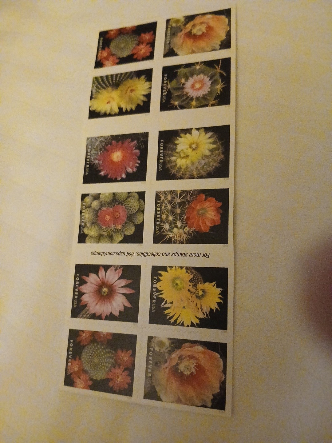 USPS CACTUS FLOWER-20 First Class Forever Stamps