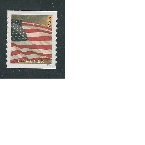 Scott #5872…Forever Flag…Perf 9.