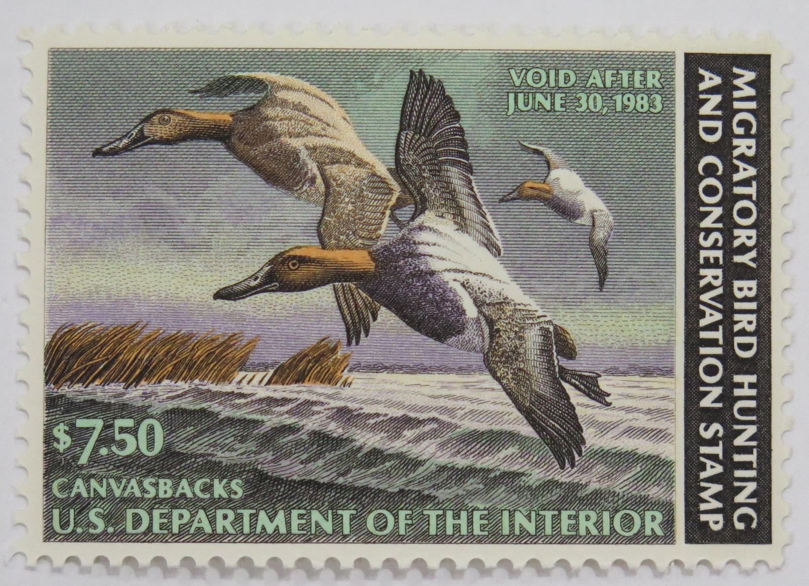 1982 US DUCK HUNTING BIRD STAMP CANVASBACKS RW49 $7.50 MNH 🌈⭐🌈