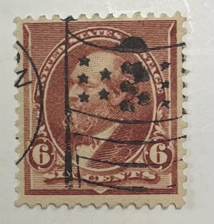 US Postage Scott #224, 6-cent Garfield, brown red, Flag Cancel, Never Hinged