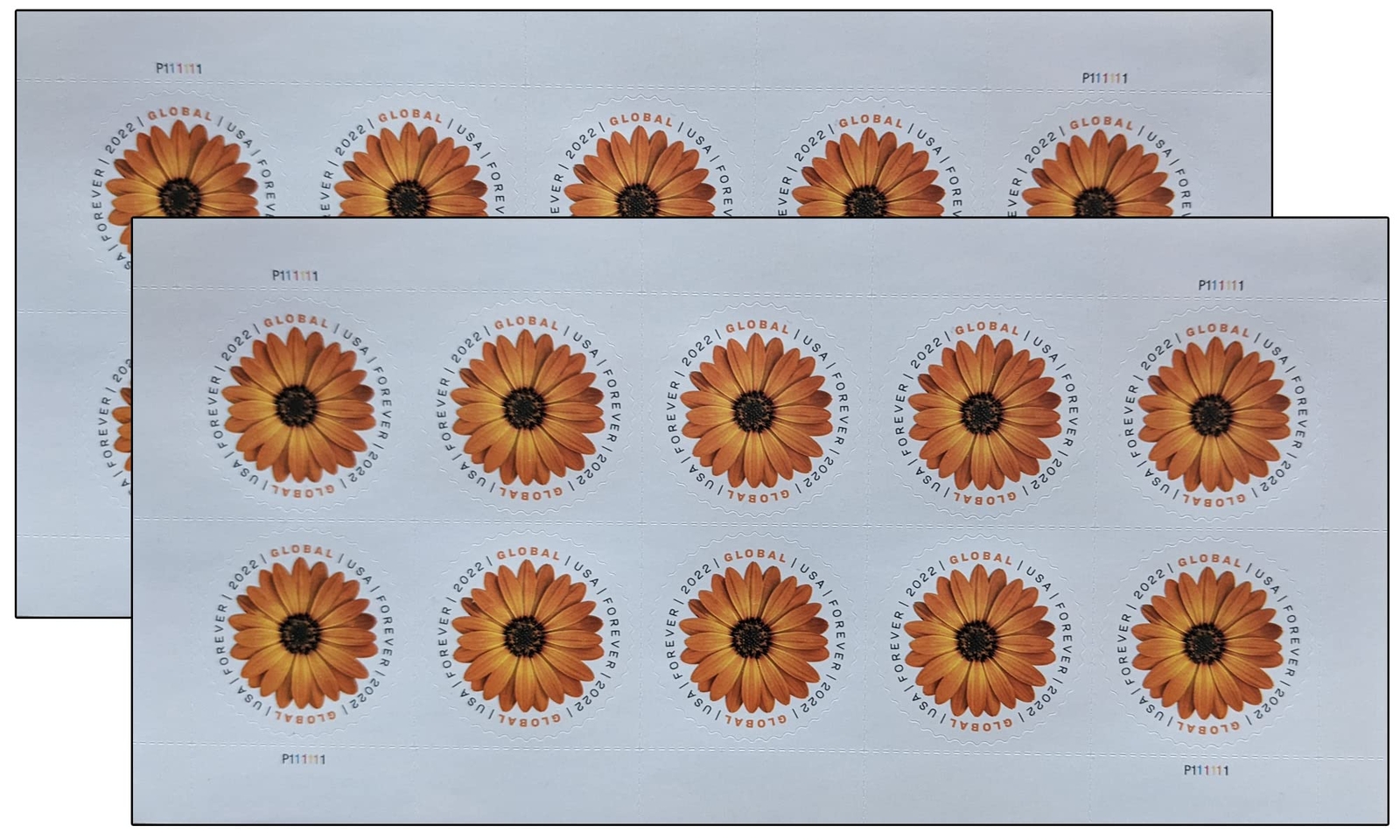 20 African Daisy Forever Stamps Self Adhesive First Class International Mail