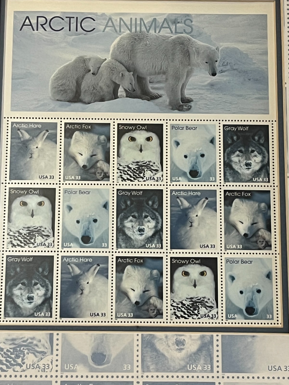 Arctic Animals Postmark Gallery Framed USPS United States Postal Service.