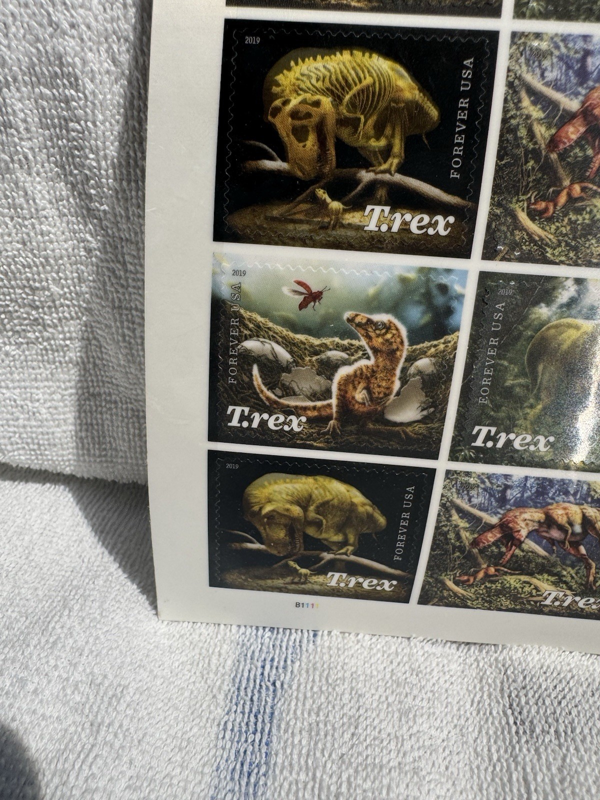 USPS 2019 Tyrannosaurus Rex Complete Stamp Sheet 16 Dinosaur Forever Stamps