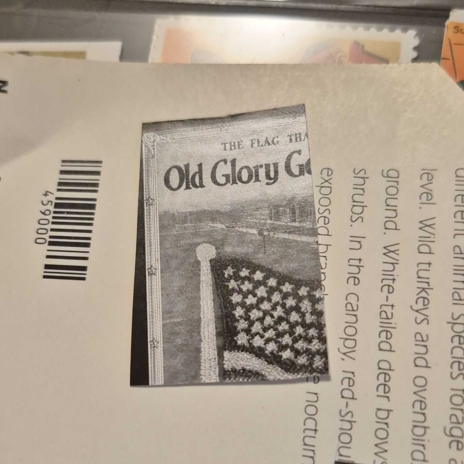American Flag 37 Cent USA Postage Stamp Multicolor United States