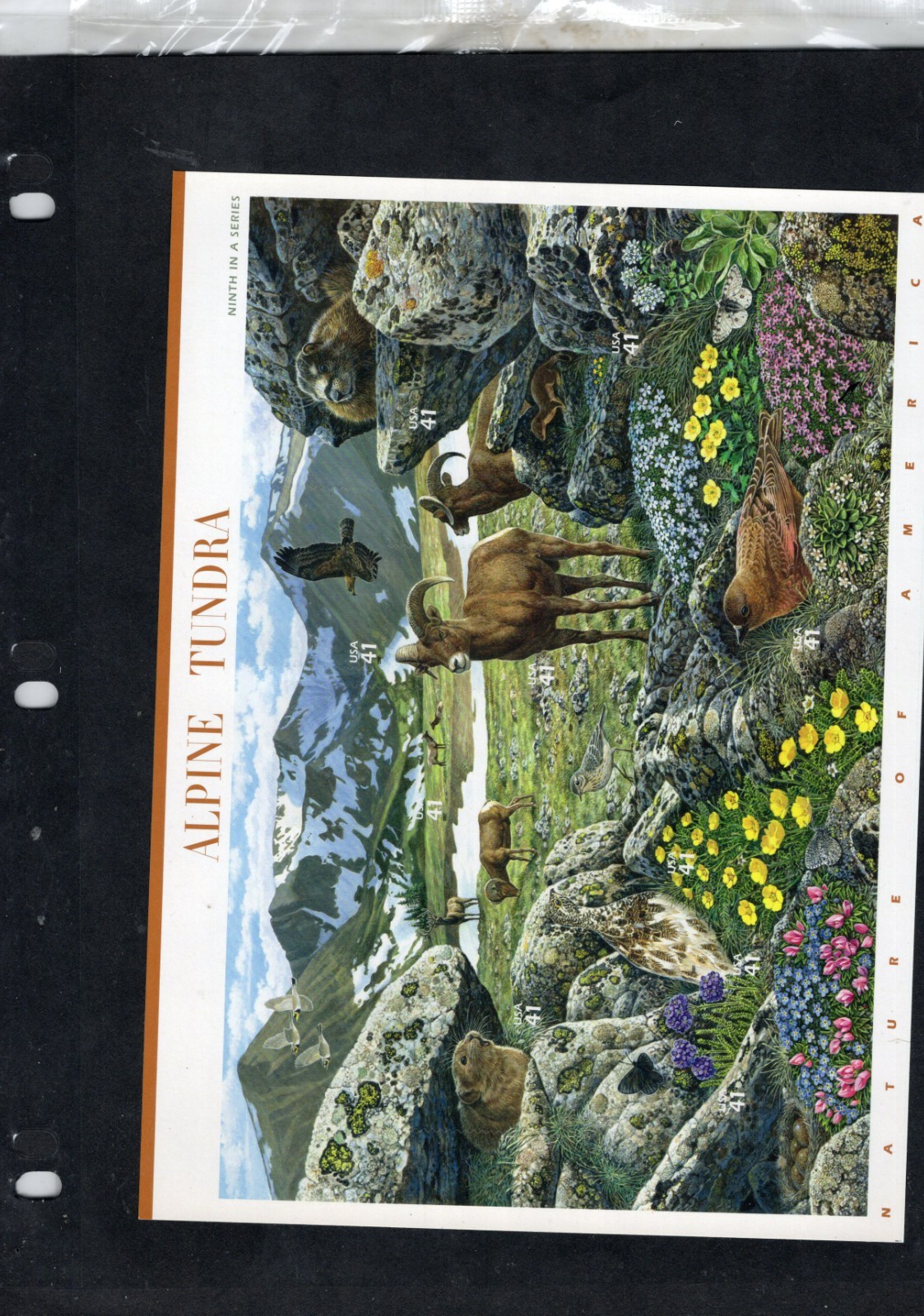 Complete Set of 12 NATURE OF AMERICA Sheets US Postage Stamps USA