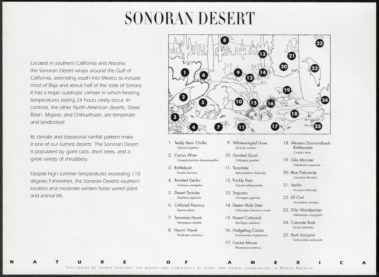 US Stamps, Full Pane of 10, Sonoran Desert, #3293, MNH