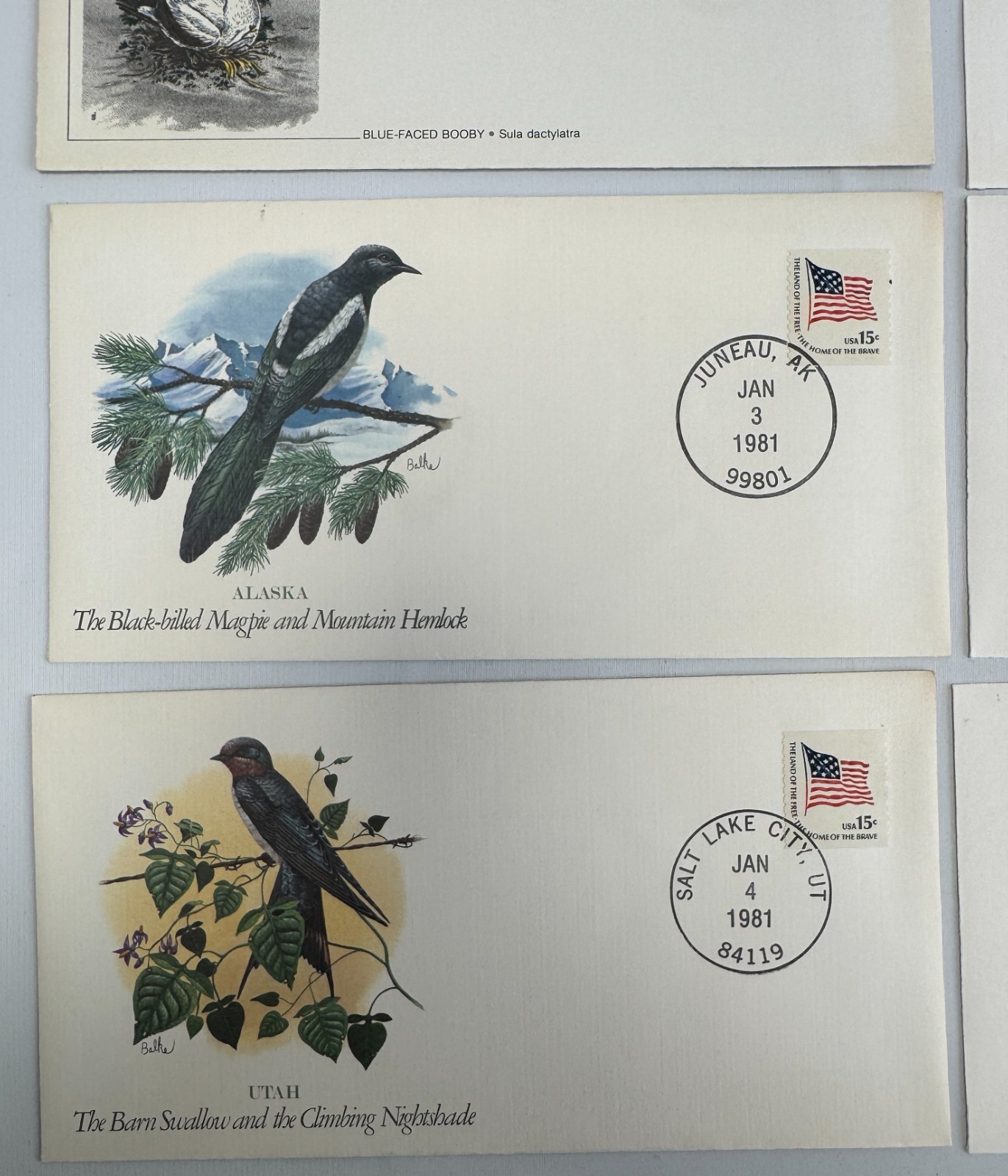 8 Vintage Audubon Bird and Wildlife First Day Covers 2 Flora, Fauna World FDCs
