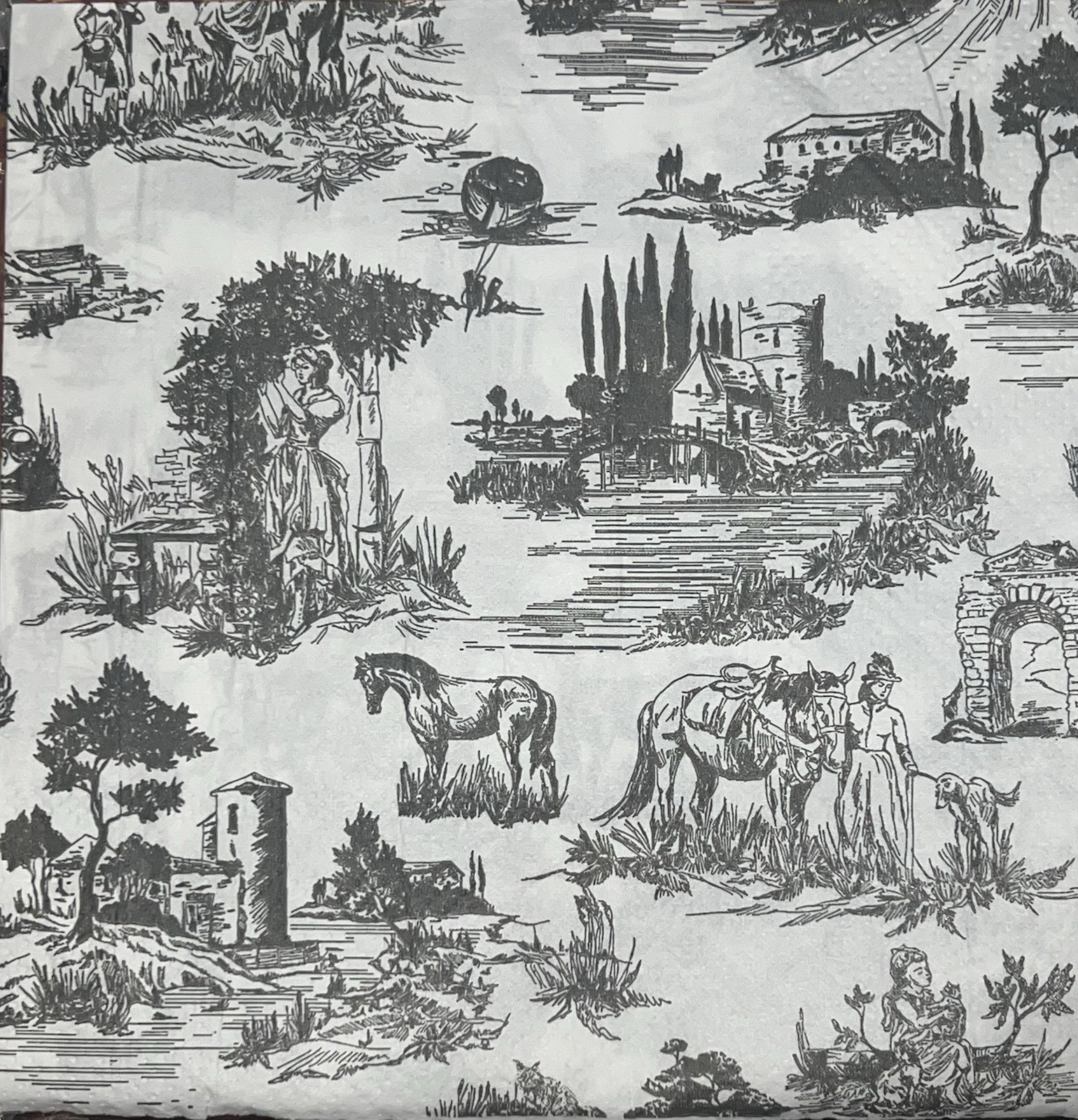 Three Individual paper Luncheon Decoupage Napkin Black Toile French Countryside