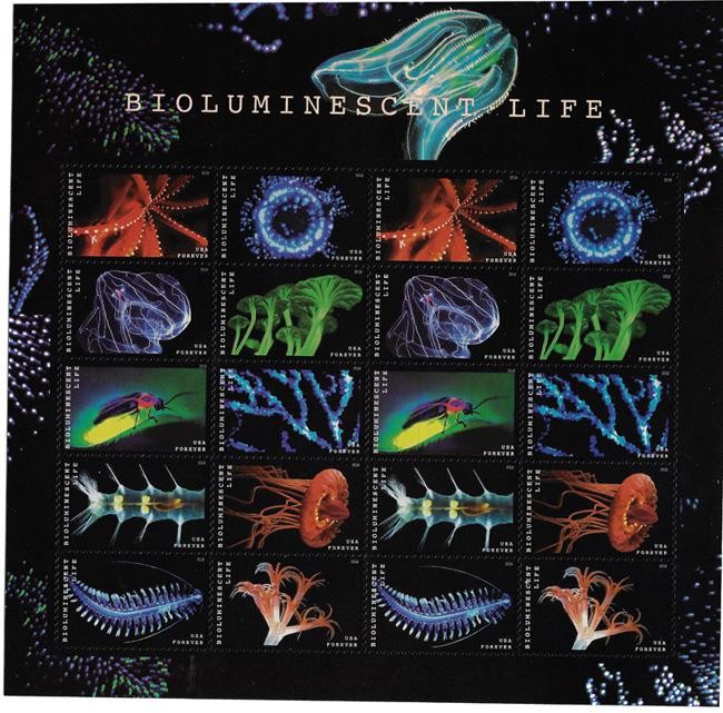 US SCOTT 5264 – 5273a SHEET OF 20 BIOLUMINESCENT LIFE FOREVER STAMPS MNH