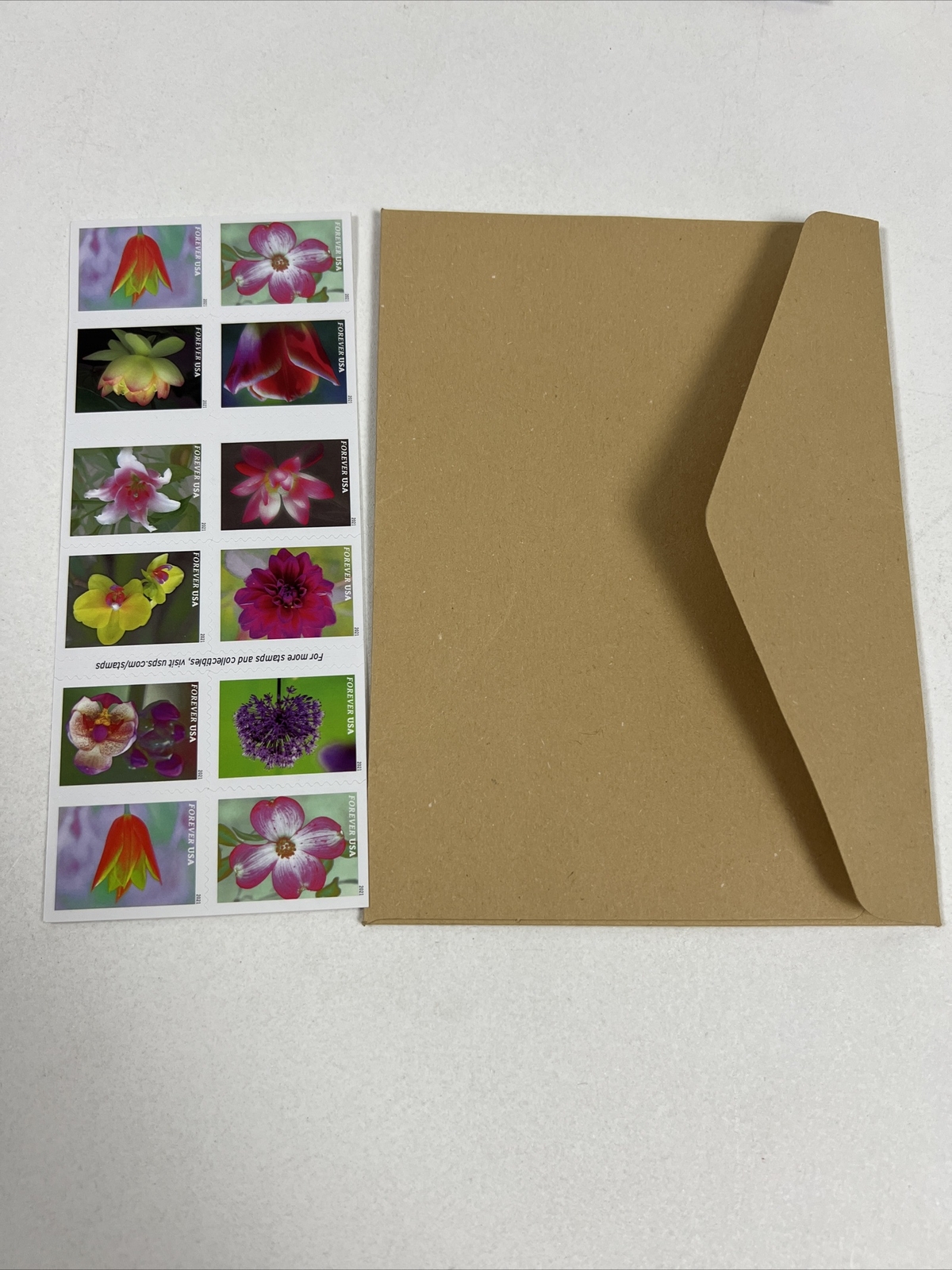 USPS Garden Beauty (2020) First-Class Forever Stamps – 4 Booklet of 20